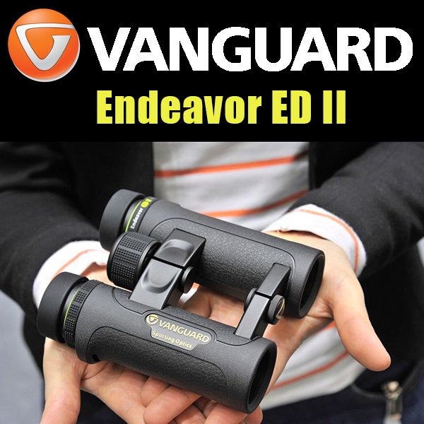 Endeavor ED II