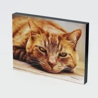 Photoblocks 100% NZ MADE High Quality