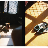 Kodak Ektar H35 - Half-Frame 35mm Film Camera Sample